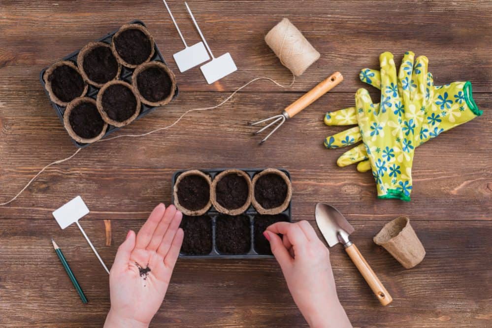 When to use potting soil