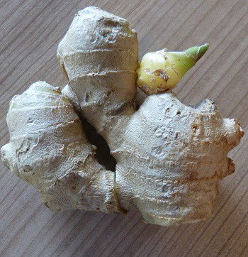 grow ginger from kitchen scraps