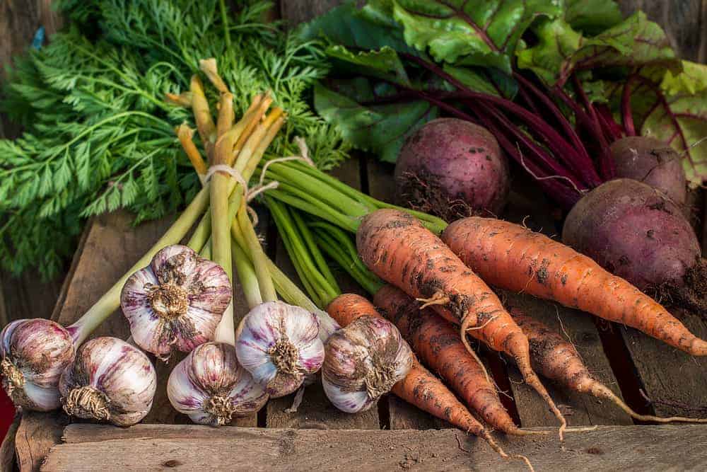 8 Common Heirloom Vegetables You May Want to Plant