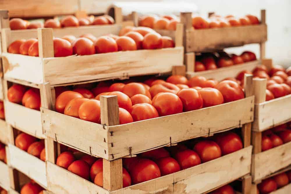 Tomatoes Storage