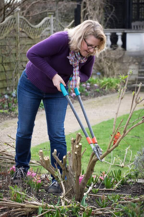 Pruning and deadheading