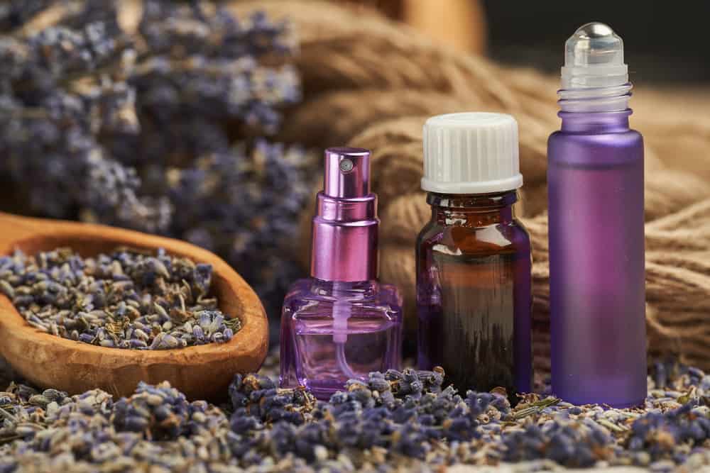 How to Make Lavender Oil? (Cold Oil & Crock-Pot Infusion)
