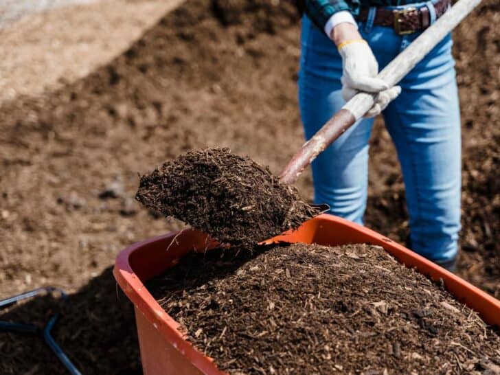 15 Tips to Store Your Compost in the Best Possible Way