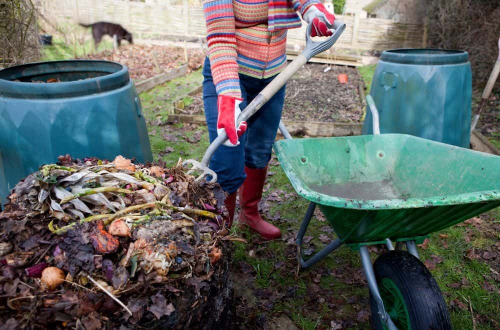Balance the nitrogen and carbon ratio in your compost material