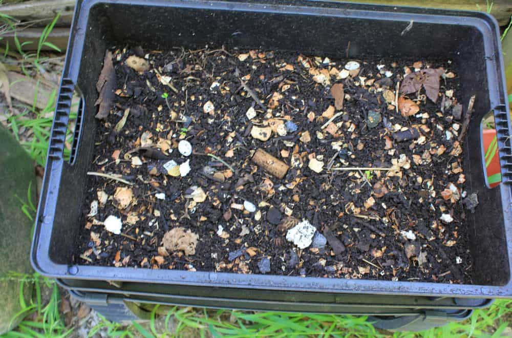 Bedding for Worm Composting