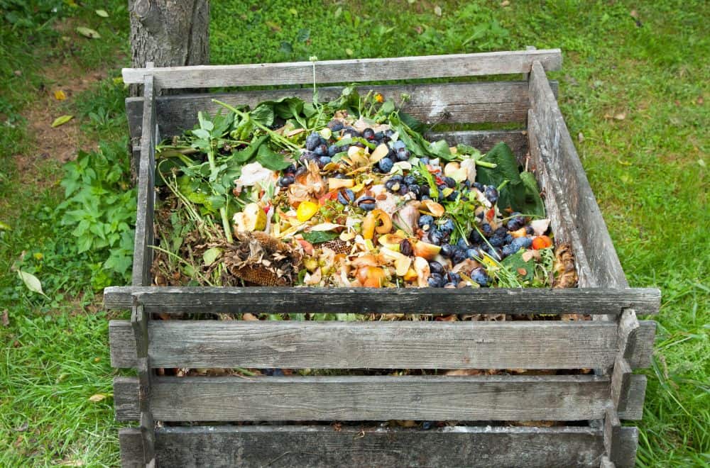 120 Things You Can Compost from Home