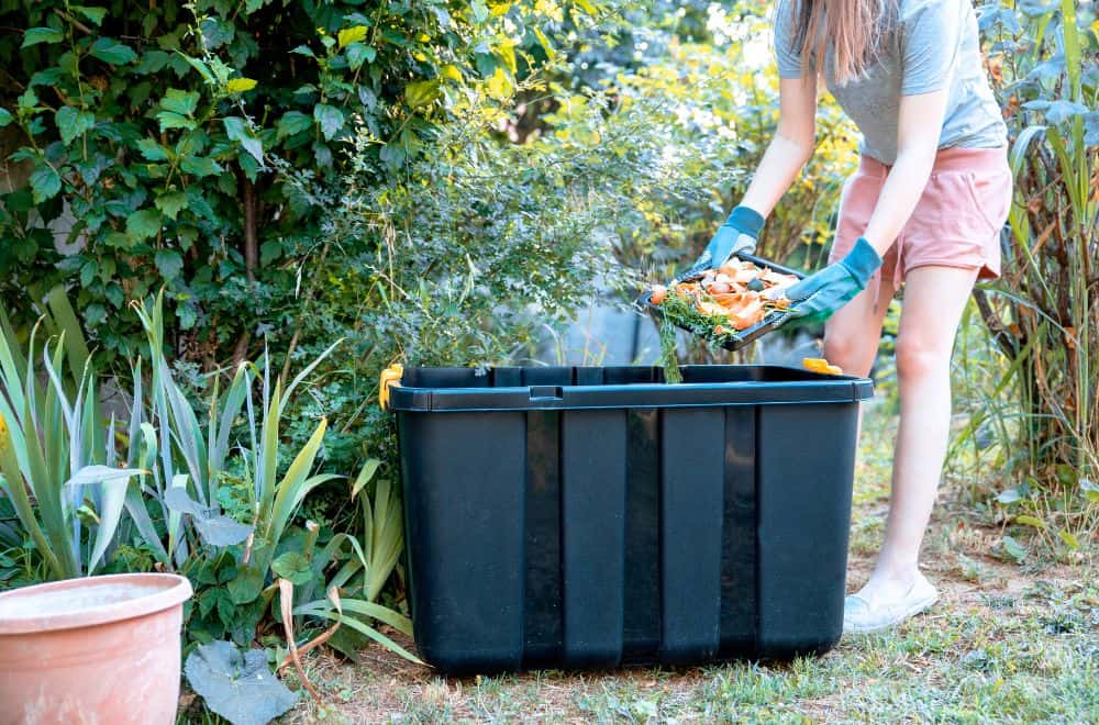 Ingredients You Should Avoid When Making Compost