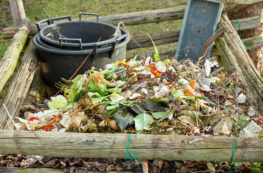 Microbes Which Make the Composting Process Possible