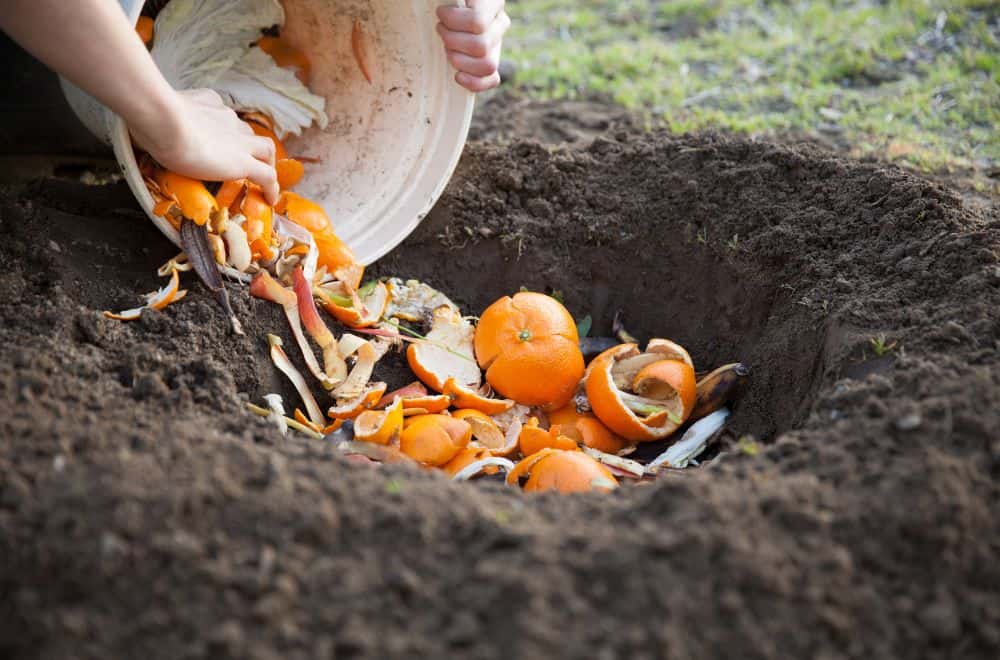 Turning Over Compost in the Special Occasions