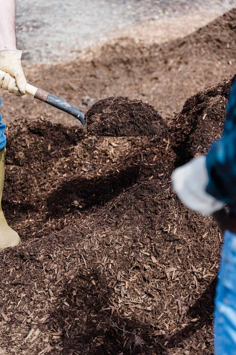 What factors can affect the price of compost