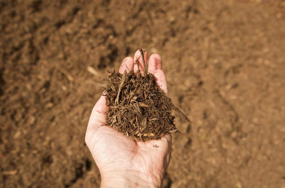 What is the difference between mulch and compost