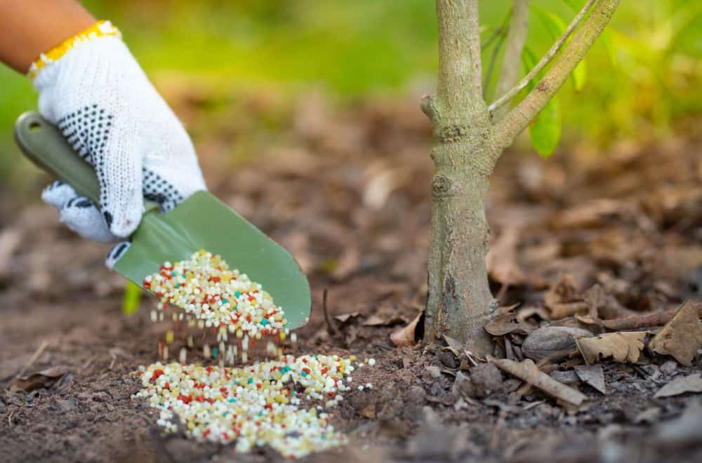 Why Choose or Avoid Fertilizer