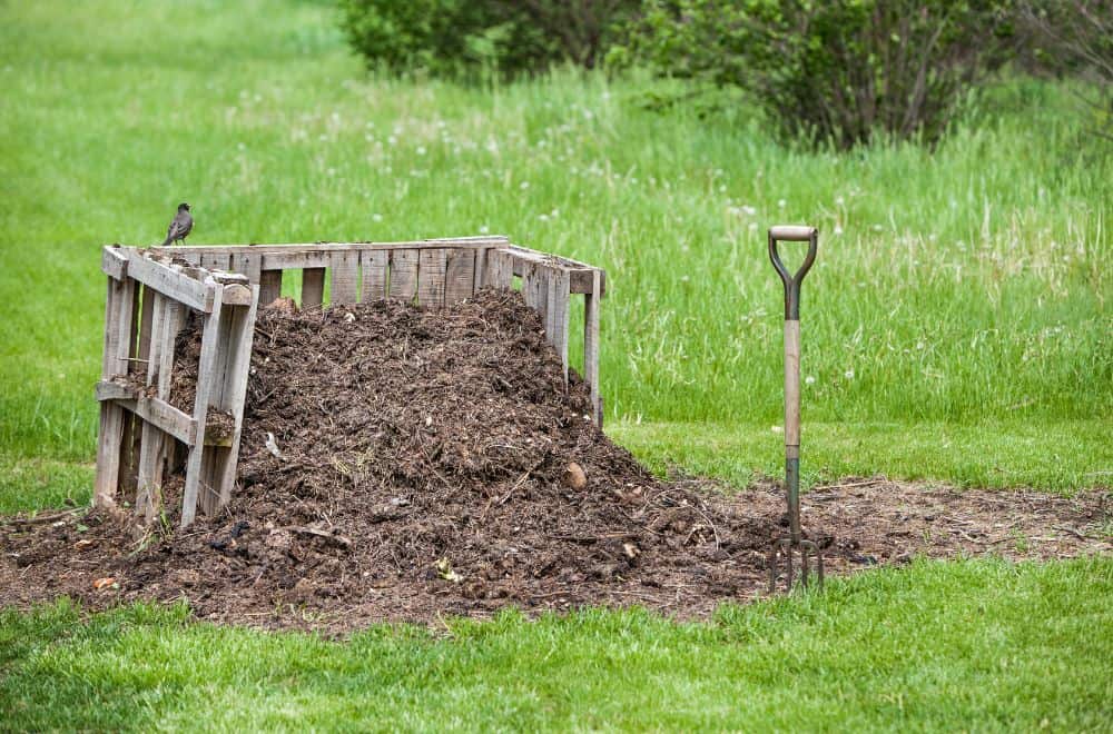 Why start a compost pile