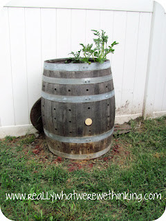 Wine Barrel Bins