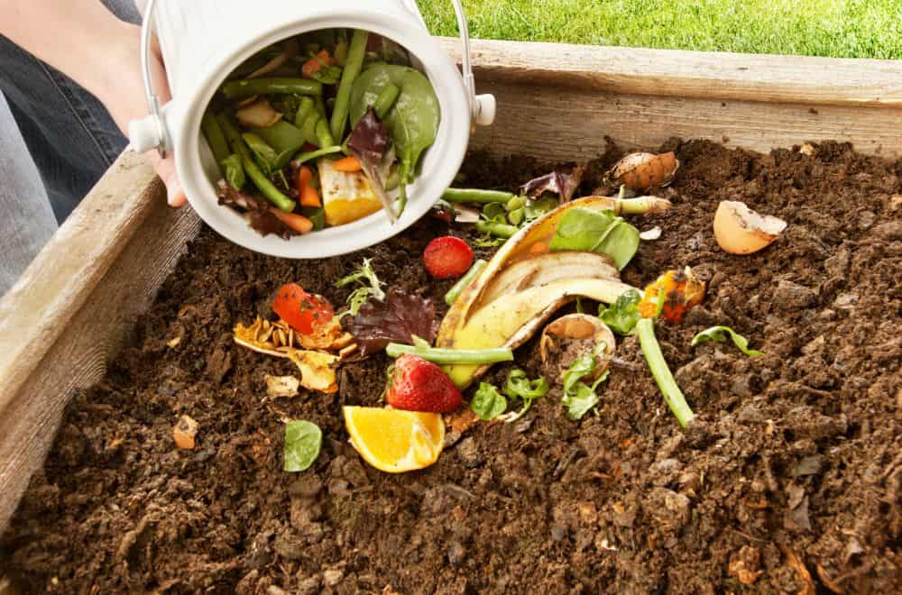 21 Items You Shouldn’t Compost