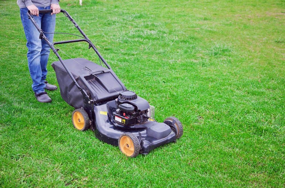 6 Tips for Mowing Wet Grass