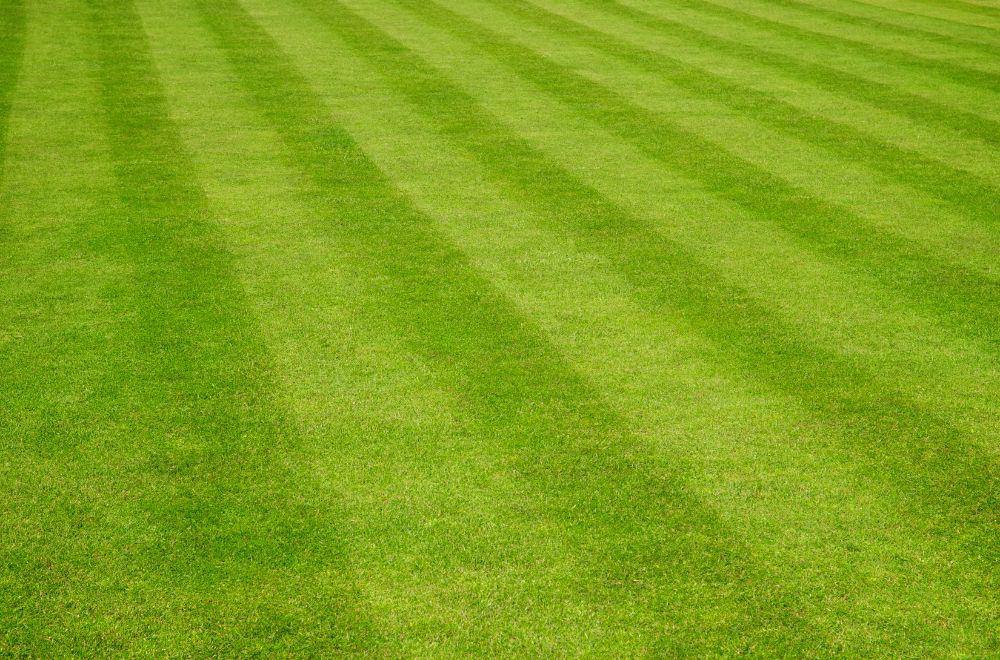 Checkerboard Mowing Pattern