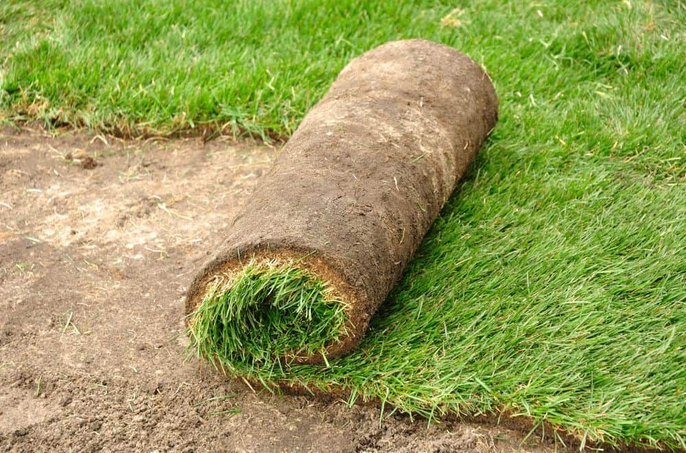 How Much Does A Pallet of Sod Weigh? (Exact Answer)