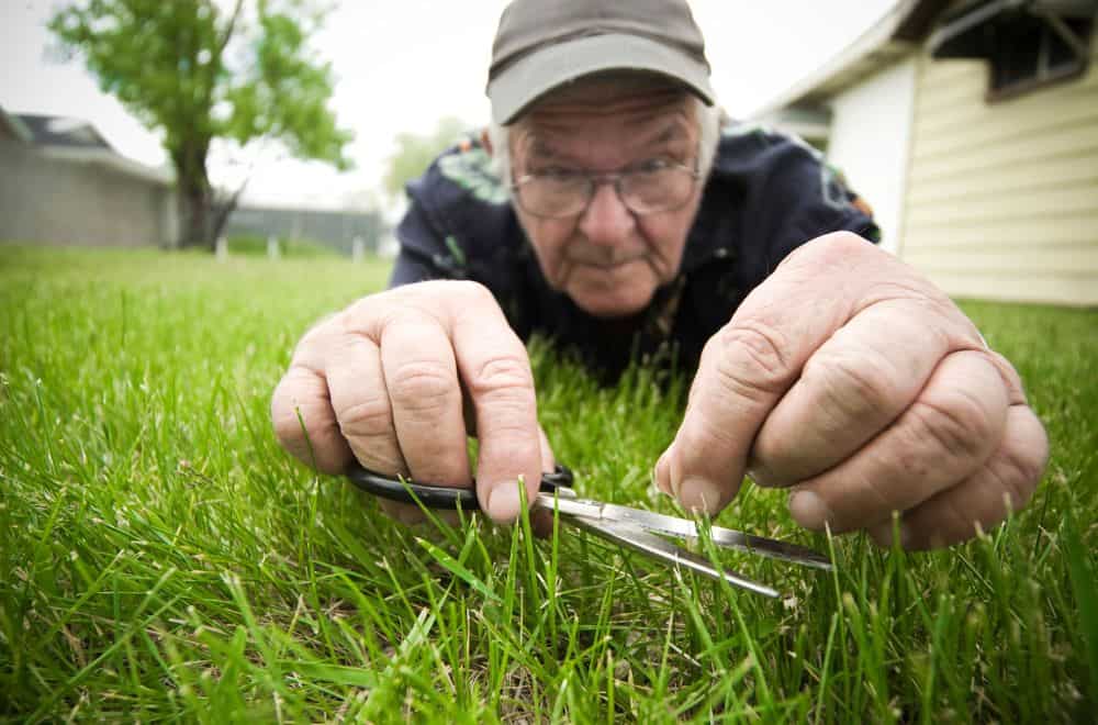 How do you measure your grass