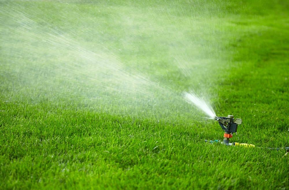 How to Tell If the Grass is Under-Watered
