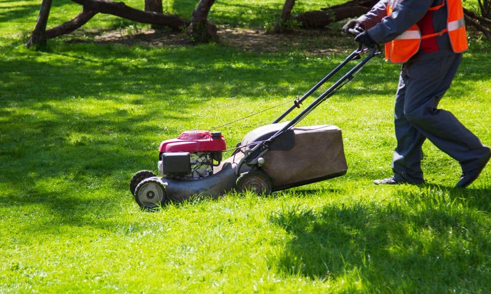 Lawn Mower Problem
