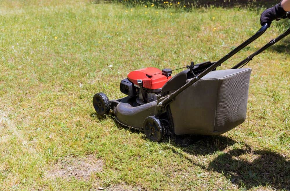 Self-Propelled Lawn Mowers