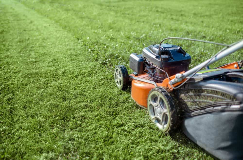 Self-Propelled Vs Push Mower: Which is Better?