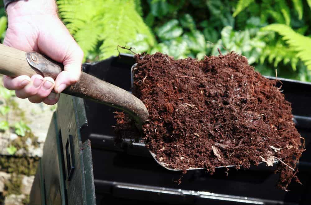 Using Compost for Soil Fertilizer and Mulch