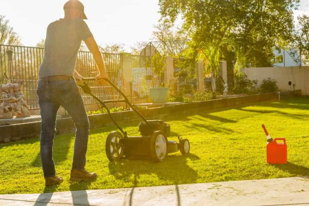 What's the best time to Mow Your Lawn