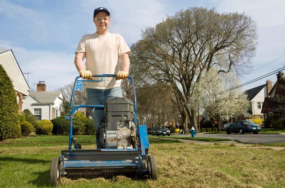 When & How to Dethatch a Lawn (After-Care Tips)