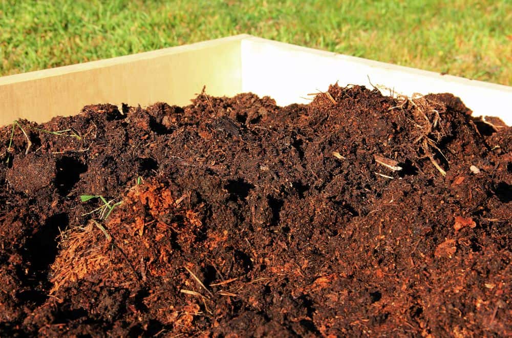 When to Choose Mushroom Compost
