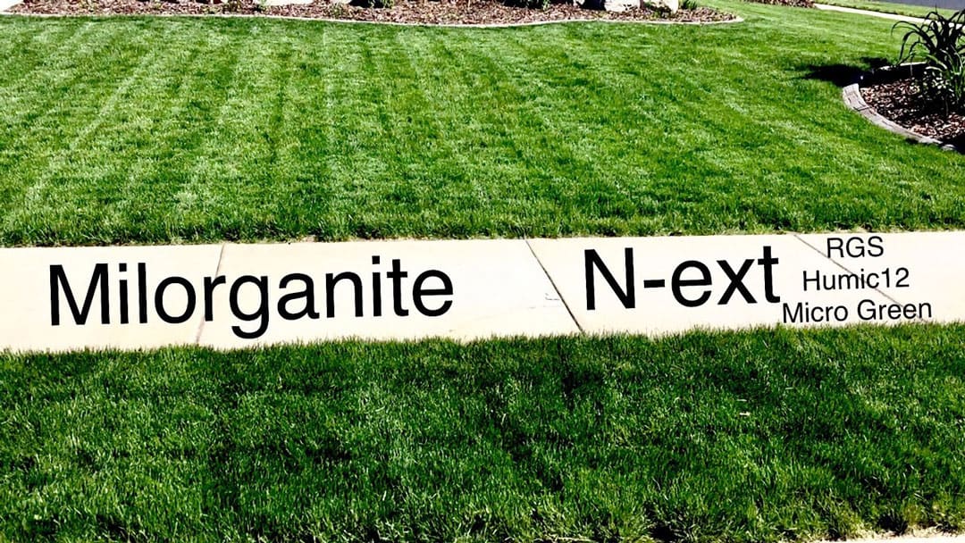 When to apply Milorganite to your lawn