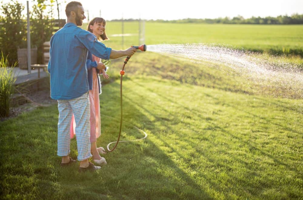 When’s the Best Time to Water Your Lawn