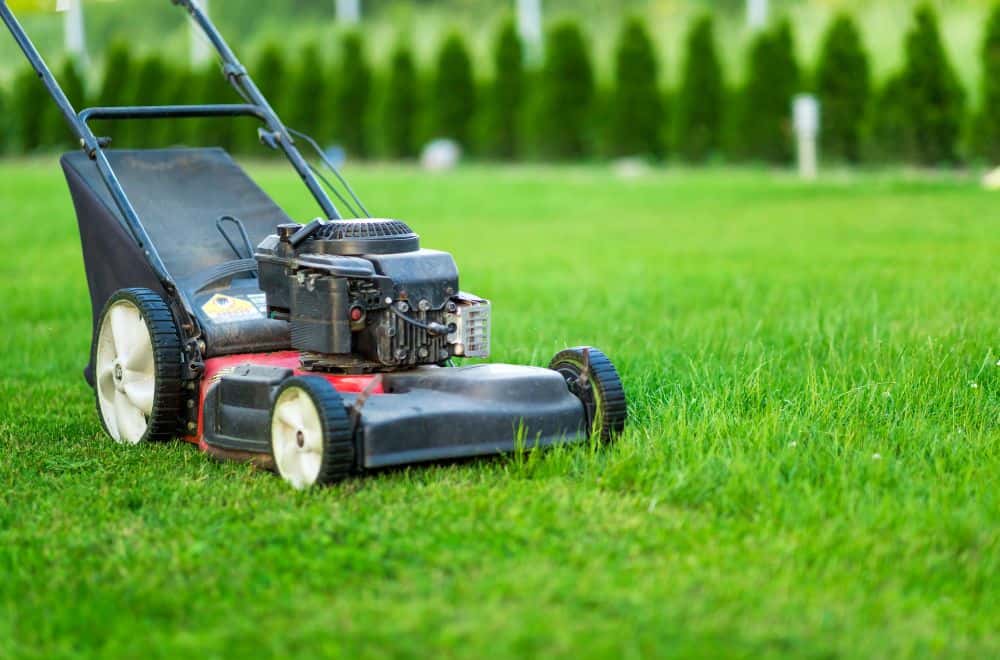 Benefits of Mowing Your Lawn Regularly