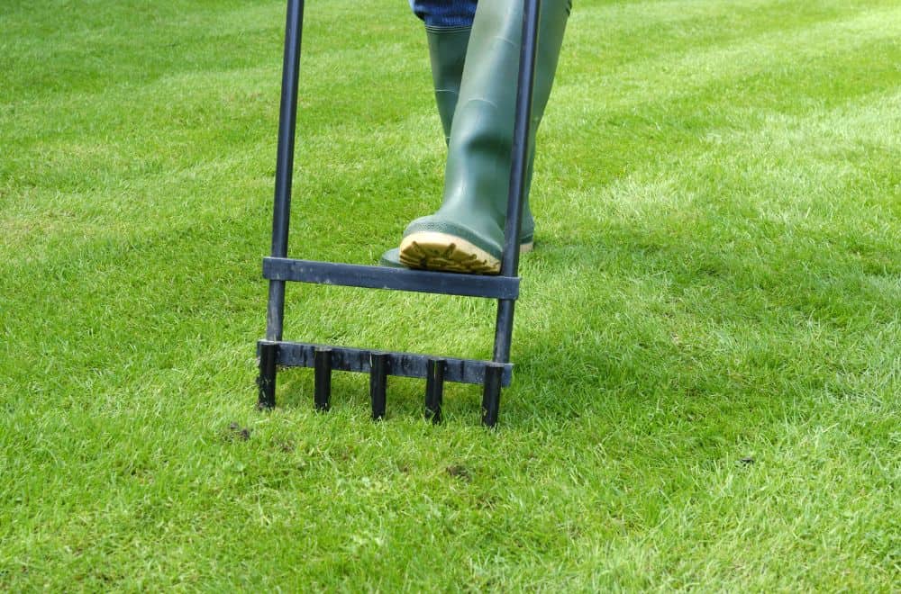 Check for compaction and consider aerating
