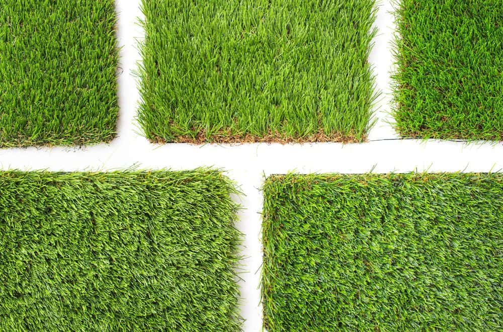 Determine grass type on your lawn
