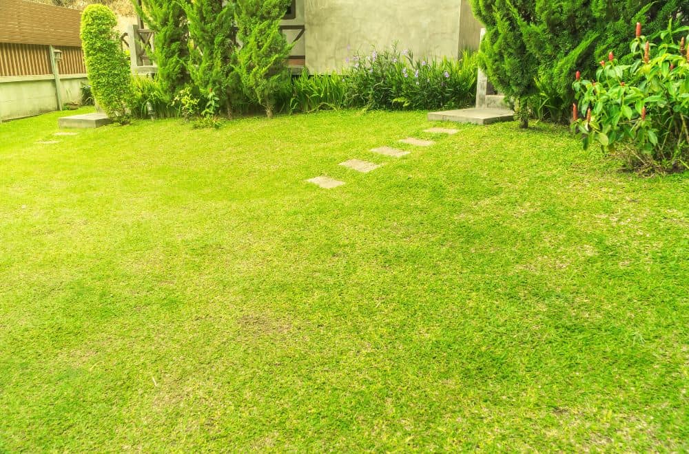 Determine your lawn size