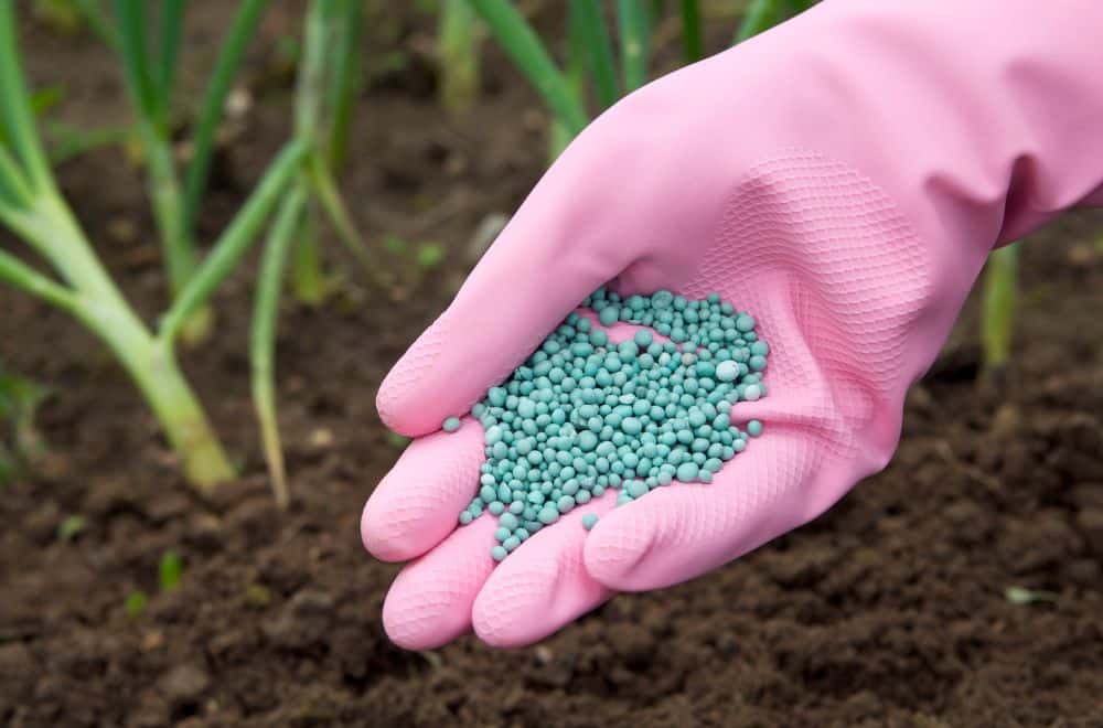 How long do fertilizers last in soil