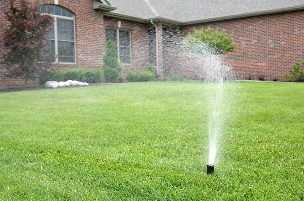 How to Avoid Over-Fertilizing Your Lawn