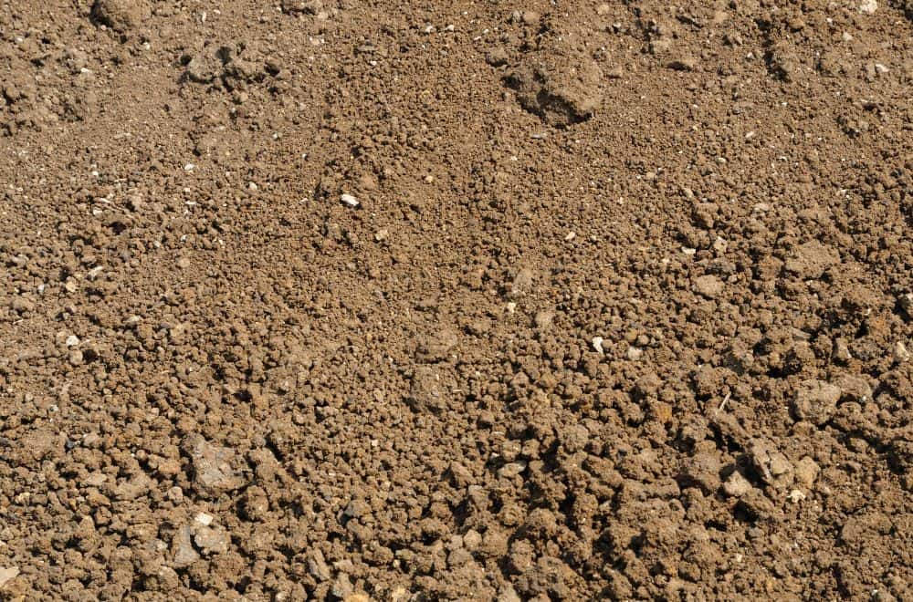 How to prepare the soil for seeding, overseeding or laying sod