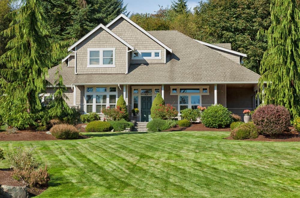 Ironite for Lawn: Is It Harmful? (7 Tips to Use)