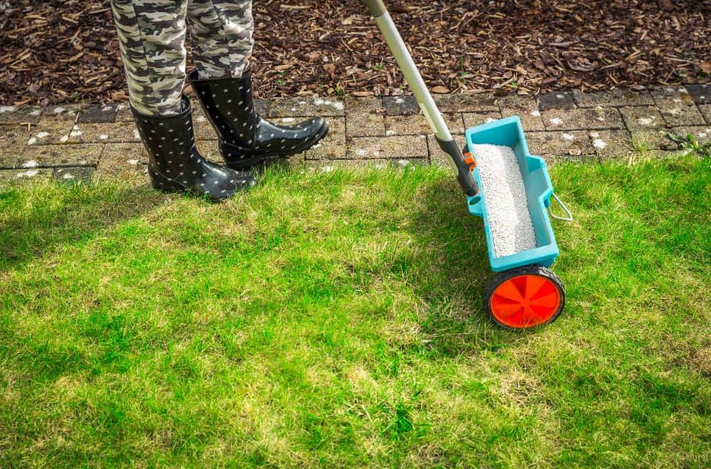 Preparing Your Lawn for Fertilizing