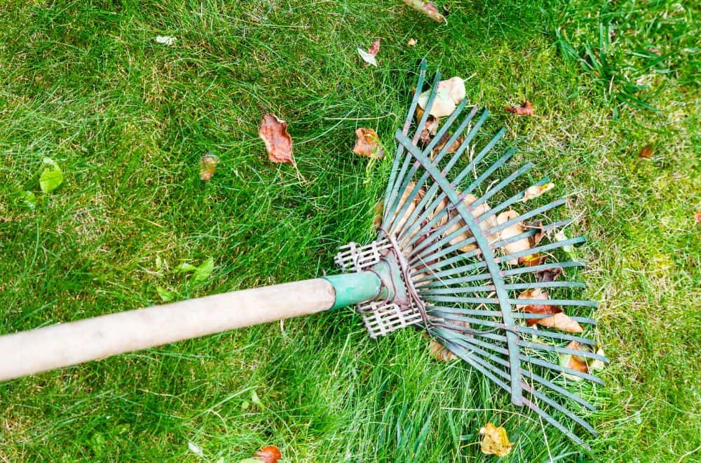 Spring clean – raking