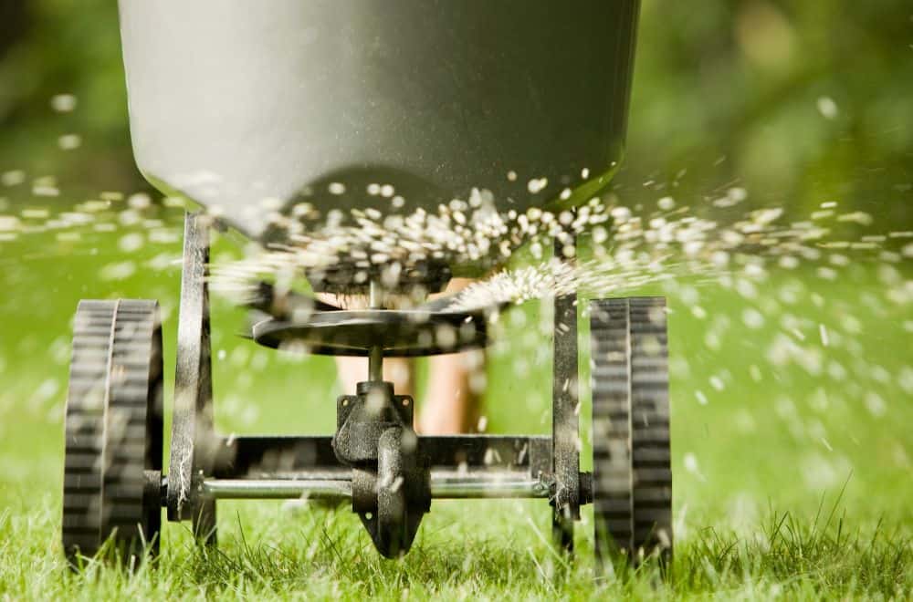 Tips for fertilizing your lawn