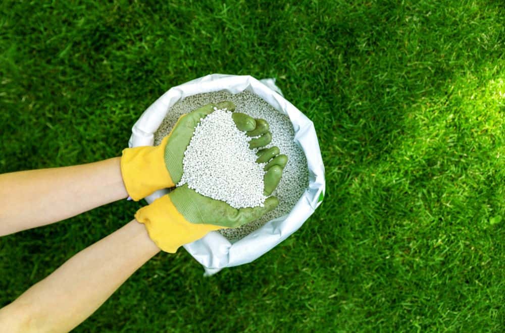 Types of nutrients your lawn needs