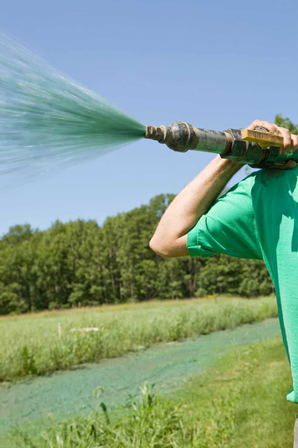 What Are the Advantages of Hydroseeding