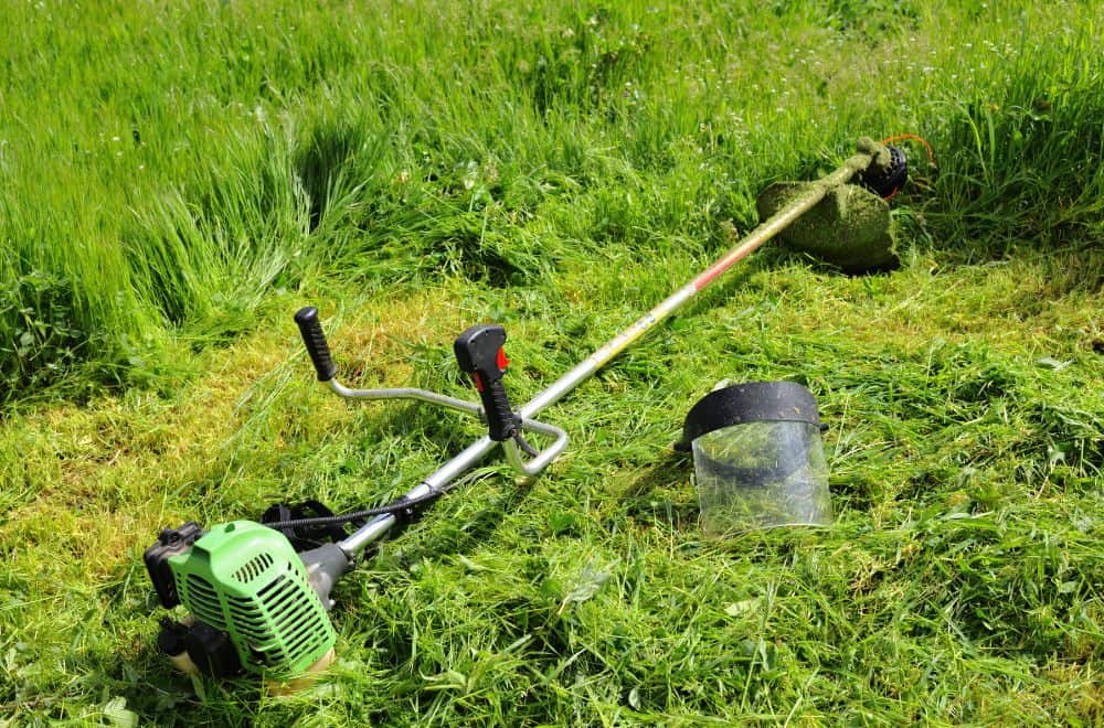 What to Do If Your Weed Eater Won’t Start?