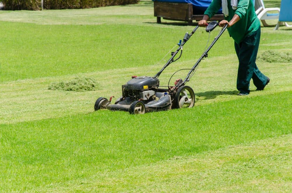 What’s the Best Time of Day to Mow Lawn?