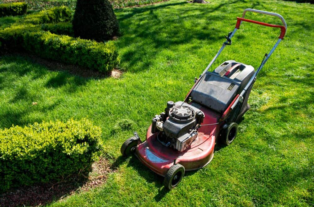 Which Lawn Mower generates more power